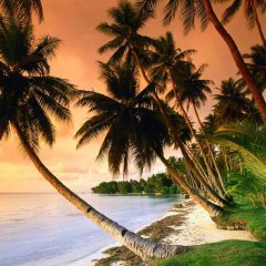 Micronesia’s Blissful Blue Lagoon Beach
