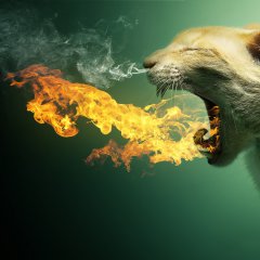 Flaming Cat + PSD
