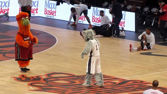  Birdie  Vs Sly Fox NBA mascots dance  battle dovga com