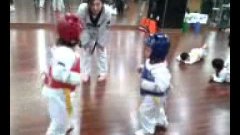 Five Year Olds Taekwondo Fight