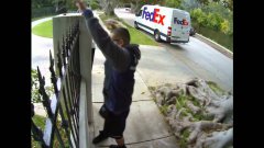 FedEx Guy Throws Computer Screen Delivery Over Fence