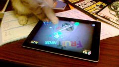 Cat Plays Ninja Fruit On iPad