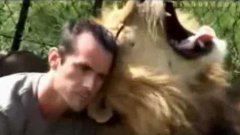 Lion King Kevin Richardson