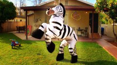 Dope Zebra - Rhett & Link