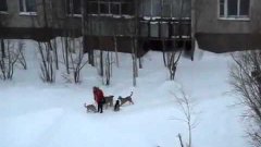 Russian Janitor Saves Girl From Pack Of Dogs