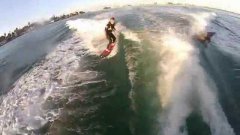 Surfing With Dolphins At Florida