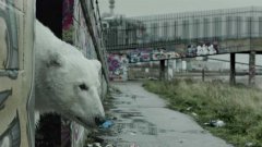 A homeless polar bear in London