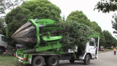 Clyde road upgrade - tree rel