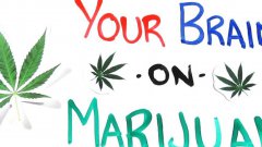 Your brain on drugs: marijuana