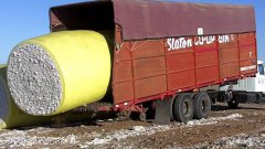 Truck scooping up barrels of cotton
