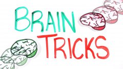 Brain tricks - this is how your brain works