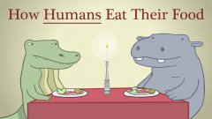 Hippo & Croc: How humans eat their food