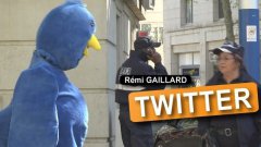 Remi dressed as Twitter bird prank