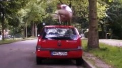 Man Jumps Over Car