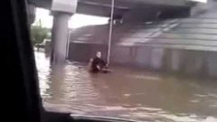 Dog helps man in wheelchair on flooded street