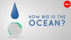 How big is the ocean?
