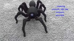 Realistic spider octopod robot