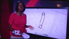 News Reporter Draws Penis