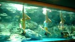 Synchronised swimming on a Michael Jackson song