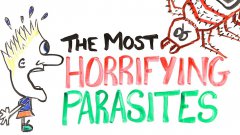 The Most Horrifying Parasites!