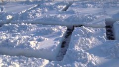 Dog Cheats In Snow Maze
