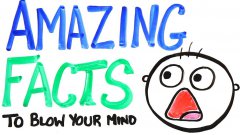 Amazing Facts To Blow Your Mind