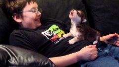 Boy Teaches Puppy To Howl