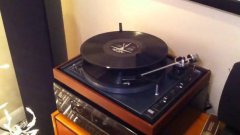Too Long, Didn’t Read Song Played On Record
