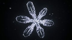 Microscopic Time-lapse of Snowflakes Forming