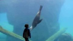 Boy With Asperger’s Plays With Sea Lion At Aquarium