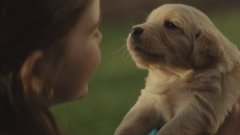 Chevy’s Puppy Dog Commercial