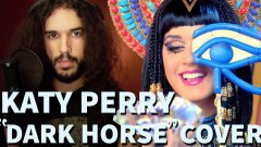 Katy Perry - Dark Horse Sang in 20 Styles