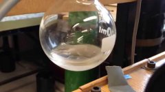 Liquid Boiling And Freezing At Same Time