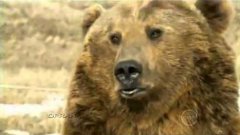 Man Loves His Pet Grizzly Bear