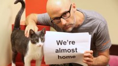 Moby - Almost Home (Best Friends Animal Society Lyric Video)