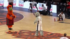 Birdie Vs Sly Fox - NBA mascots dance battle
