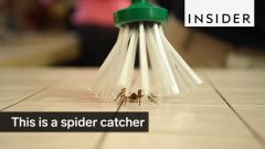 Spider catcher
