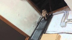 Cat climbs down ladder like a human