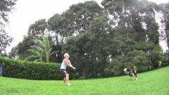 Dog And Owner Play Volleyball
